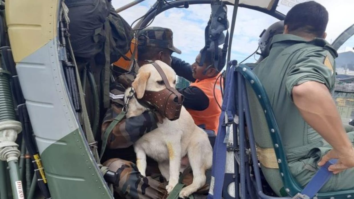 indian army airlift ill female dog mady from manipur to dimapur veterinary hospital eastern command