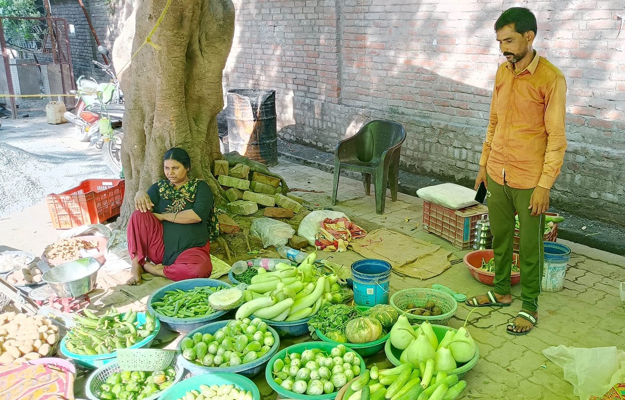 Now thieves are liking expensive vegetables, stealing two carat tomatoes and other vegetables in Hamirpur