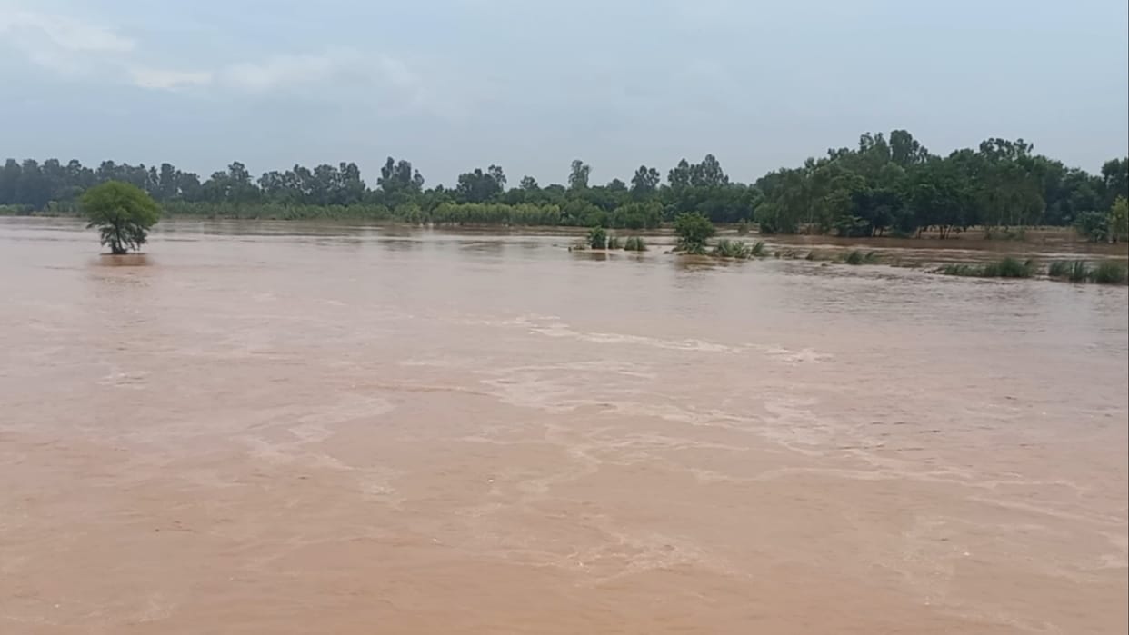 Haryana: Alert again in areas adjacent to Yamuna, Tangri, Markanda
