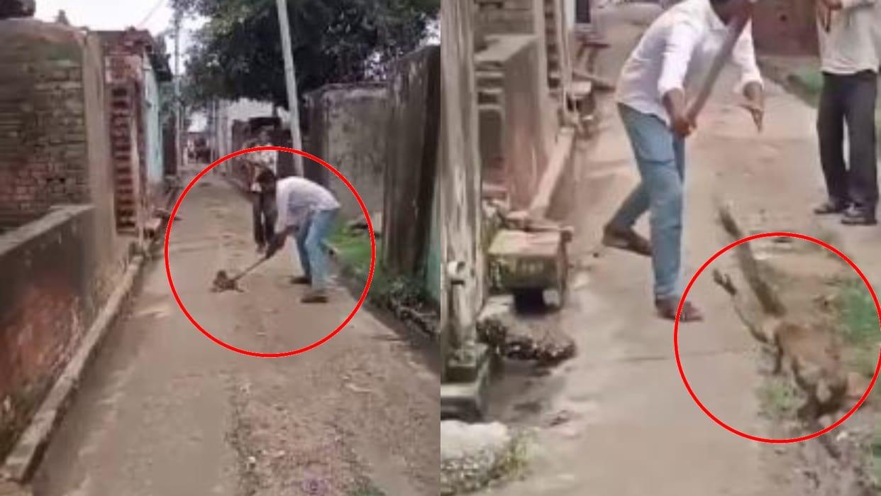 man brutally kills monkey in Badaun