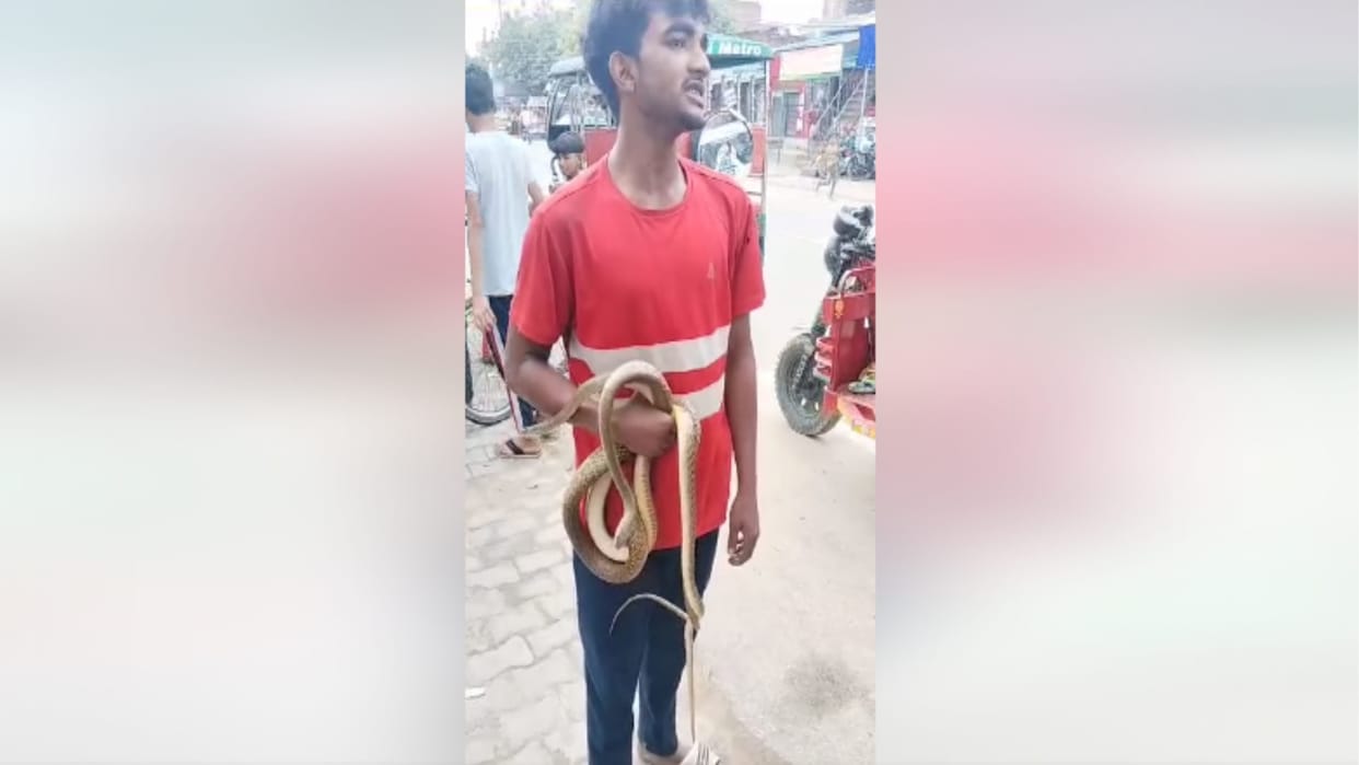 Meerut: Dilshad kills snake after biting it, but it also dies, video viral with snake