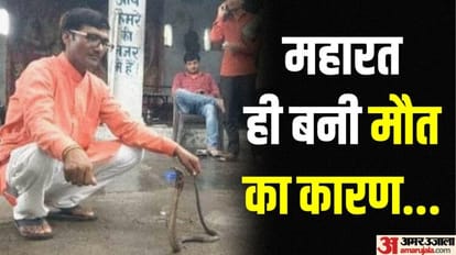 Snake catcher expert Rambali bitten by cobra died in hospital