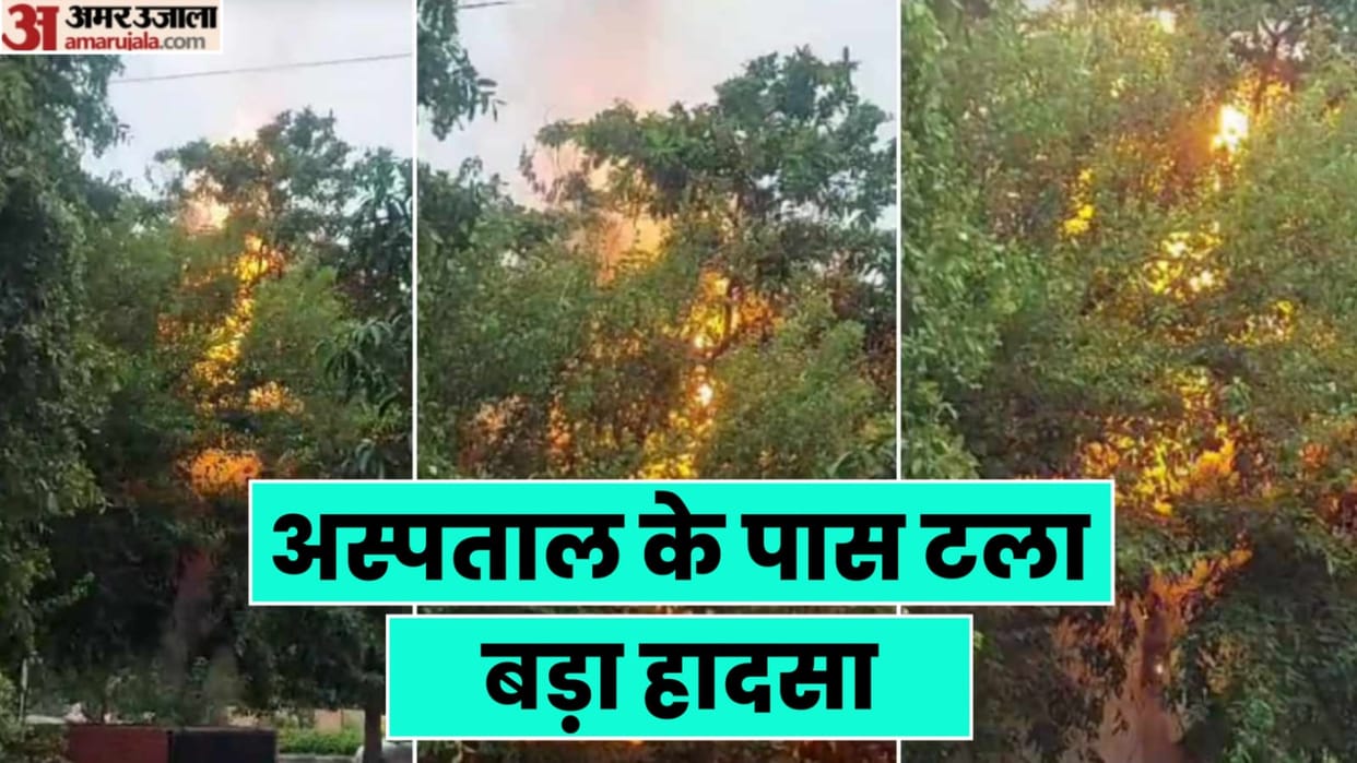 Tree started burning due to short circuit in Chandigarh