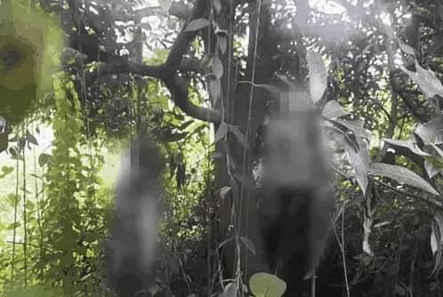 Dead bodies were found hanging from the tree, the painful end of the story of a couple madly in love