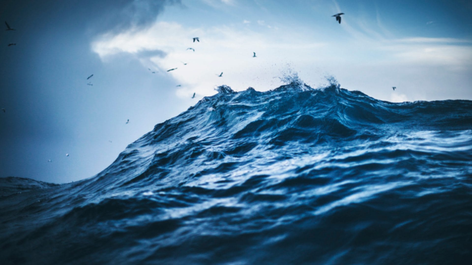 New Warning Of Scientist About Atlantic Meridional Overturning Current Collapse Weather Update India Rain