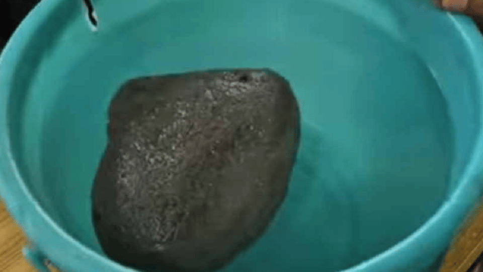 A stone floating in water weighing three and a half kilos found at Lathiyani Ghat