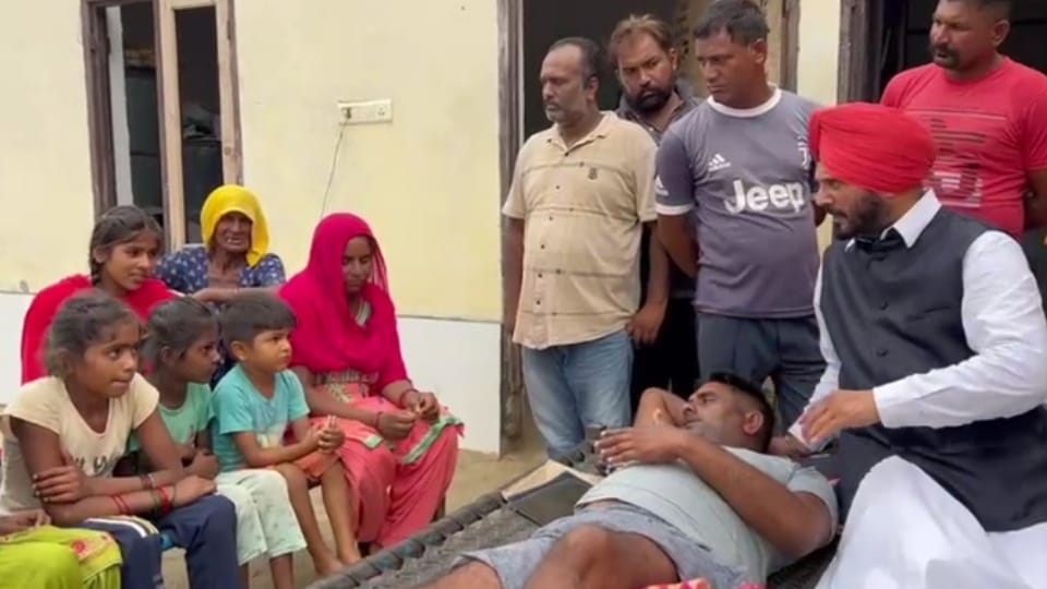 Pakistani wild boar hurled villager in firozpur