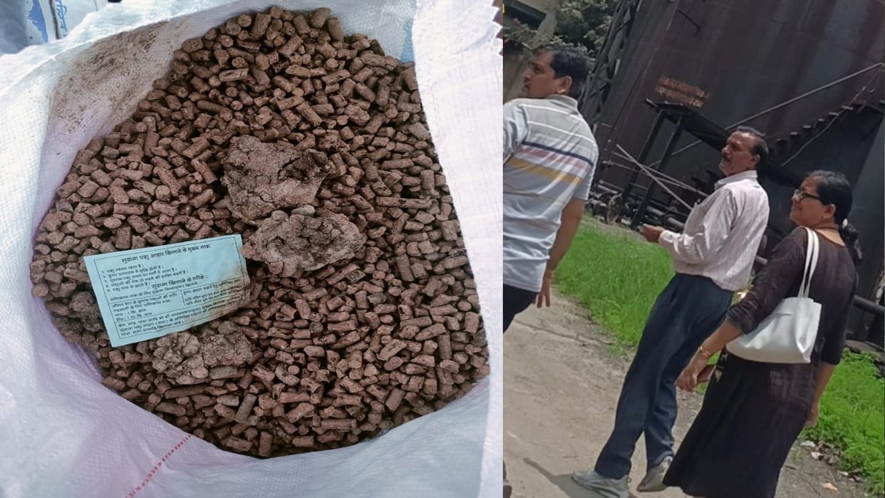 Sehore : Cattle feed distributed to farmers due to mold of poor quality farmers angry after getting cat excret