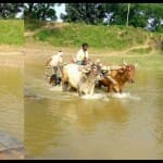 मार्ग न होने की वजह से ग्रामीणों को करना पड़ रहा परेशानी का सामना