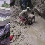 घर के ऊपर गिरा बोल्डर, दलदल में फंसा जेई