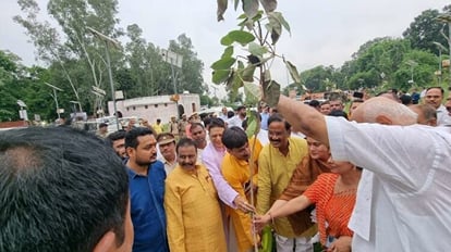 Agriculture Minister Surya Pratap Shahi planted saplings at Chandrama Rishi Ashram After worshiping the sun
