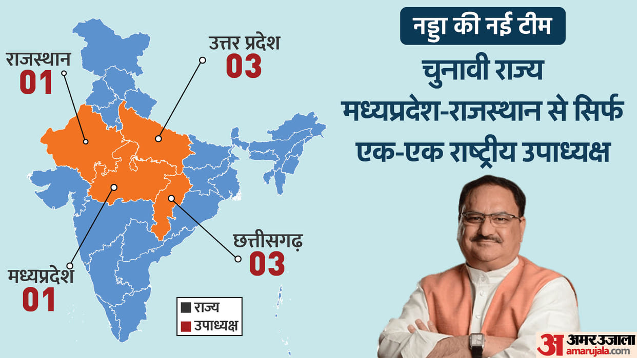 BJP announced National Vice President General Secretary Names including Vasundhara Raje Raman Singh Know all