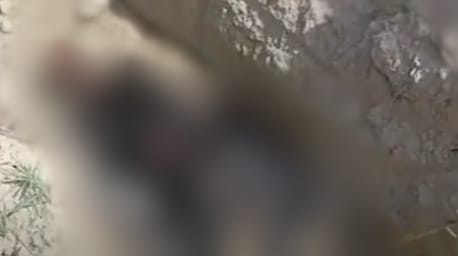 The smoldering dead body of a girl was found in the forest, the hands of the police are still empty