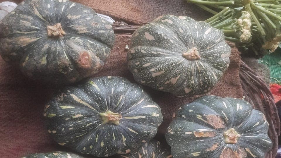 Pumpkin is the cheapest among vegetables