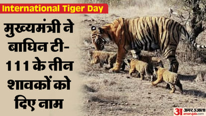 सीएम ने शावकों के रखे नाम।