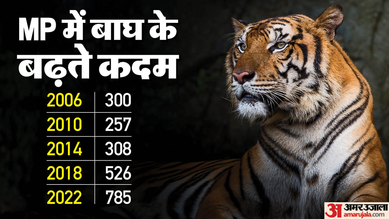 Madhya Pradesh Retains Tiger State Status, Tiger Census State Report Issued