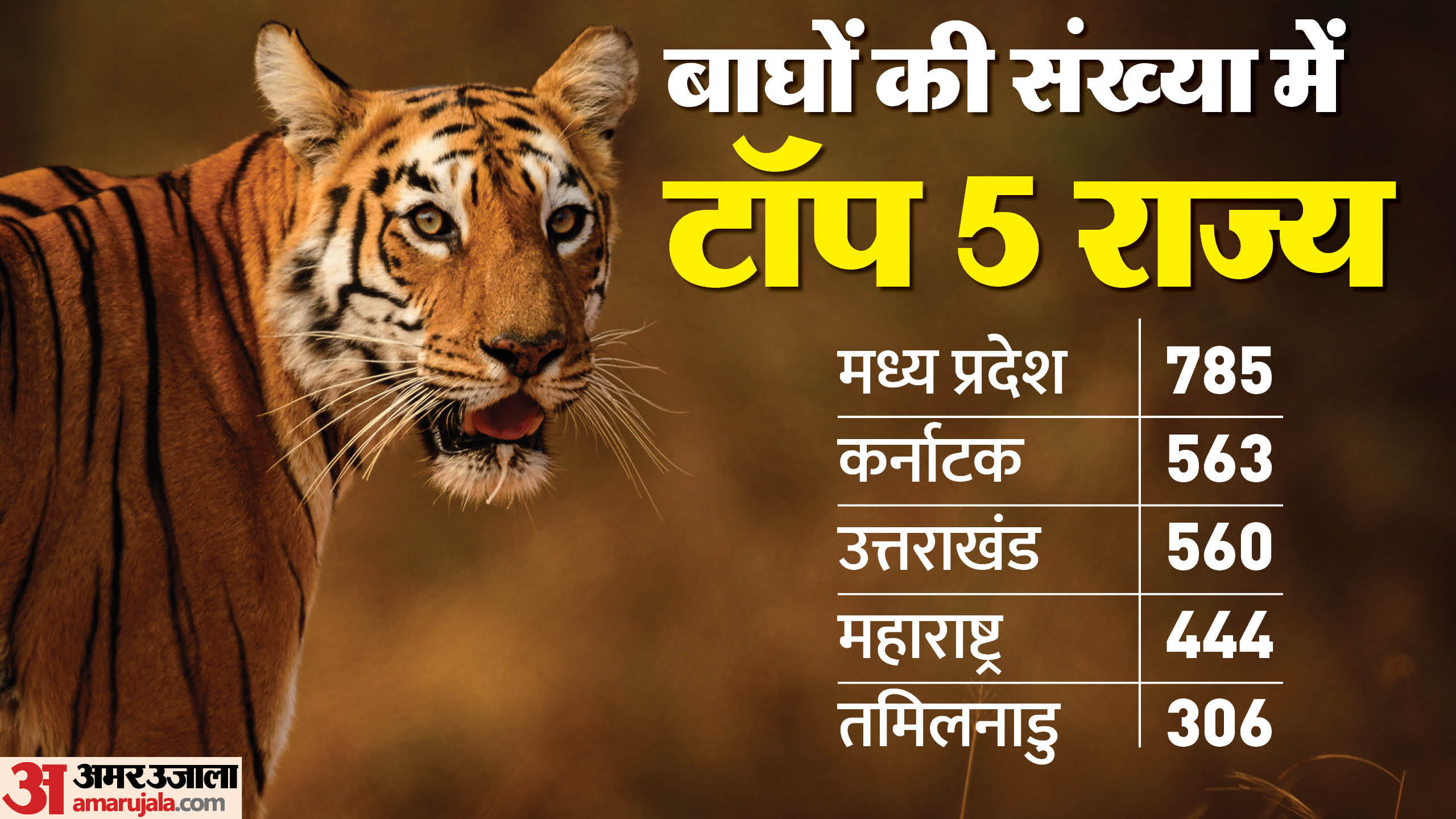 Madhya Pradesh Retains Tiger State Status, Tiger Census State Report Issued
