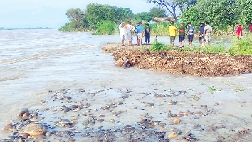 Jammu Kashmir: River drains overflow due rain, woman killed wall collapse in Udhampur