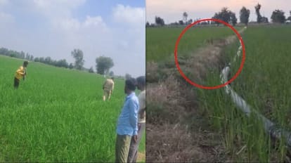 Panic spread due to leopard reached in Wazirganj area of budaun