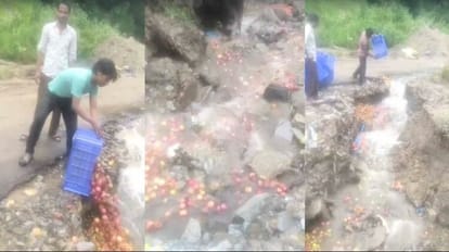 Roads closed and neither collection centers open, gardeners throw apples in drain, video viral