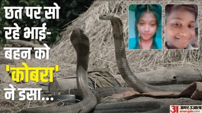 Brother and sister sleeping on the terrace died due to snake bite in Mahoba