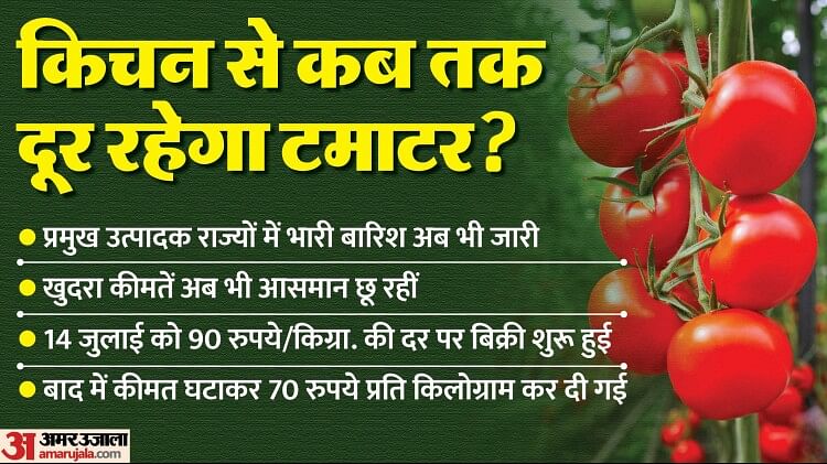 Tomato Price: NCCF ने 15 दिन में दिल्ली-UP, राजस्थान में 560 टन टमाटर बेचे; 70 रुपये/किलो की दर से बिक्री जारी