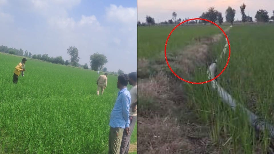 Panic spread due to leopard reached in Wazirganj area of budaun