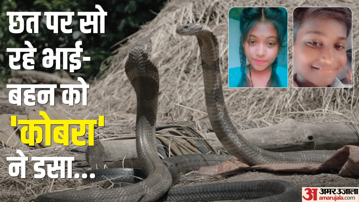 Brother and sister sleeping on the terrace died due to snake bite in Mahoba
