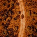 Mahindra Scorpio N Pickup Truck Teaser