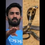 Snake, entered the field, Lanka Premier League, Srilanka Premier League, Dinesh Karthik, made fun, B