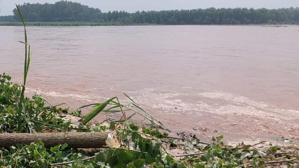 Water level of Beas river started rising, alert for villages in Amritsar