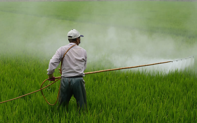 UP Agritech Conclave 2023 organized: Farmers will get accurate weather information through AI