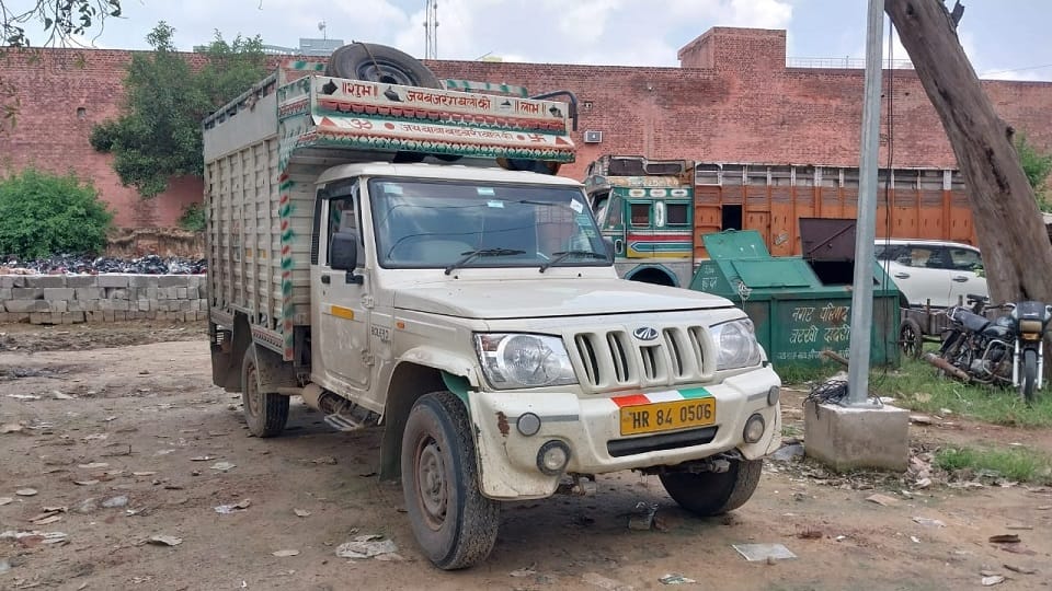 Dadri police caught pickup full of animals, three people from UP arrested