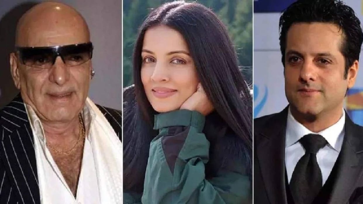 Celina Jaitley take Action Pak journalist who accused her of sleeping with Feroz Khan and Fardeen Khan