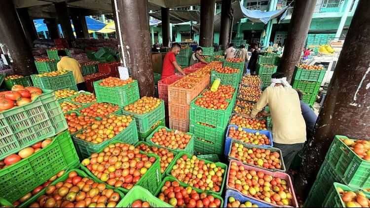 Tomato being sold up Rs 200 kg many places Moradabad