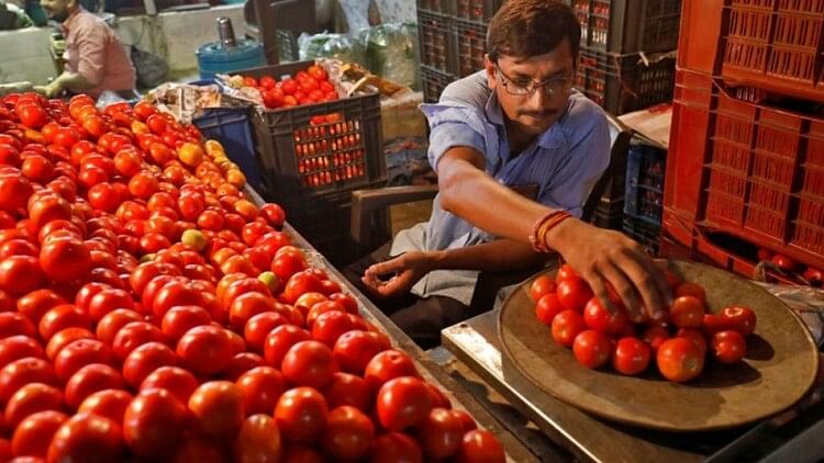 Tomato: आपूर्ति में कमी के कारण टमाटर के भाव फिर उछले, मदर डेयरी स्टोर्स पर 259 रुपये प्रति किलो हुआ रेट