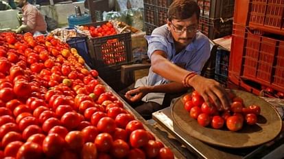 Tomato prices spike again on tight supply; Mother Dairy stores selling at Rs 259/kg