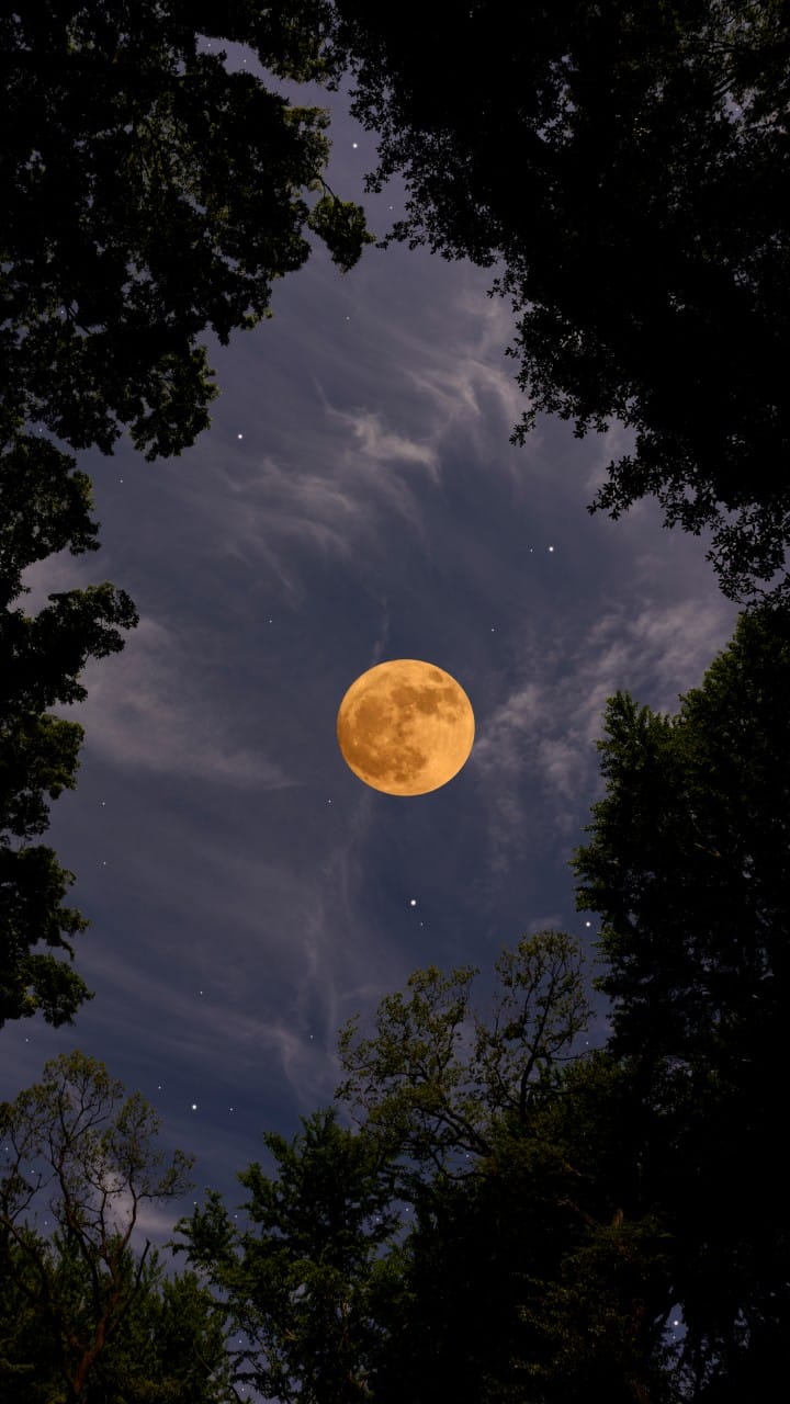 moon