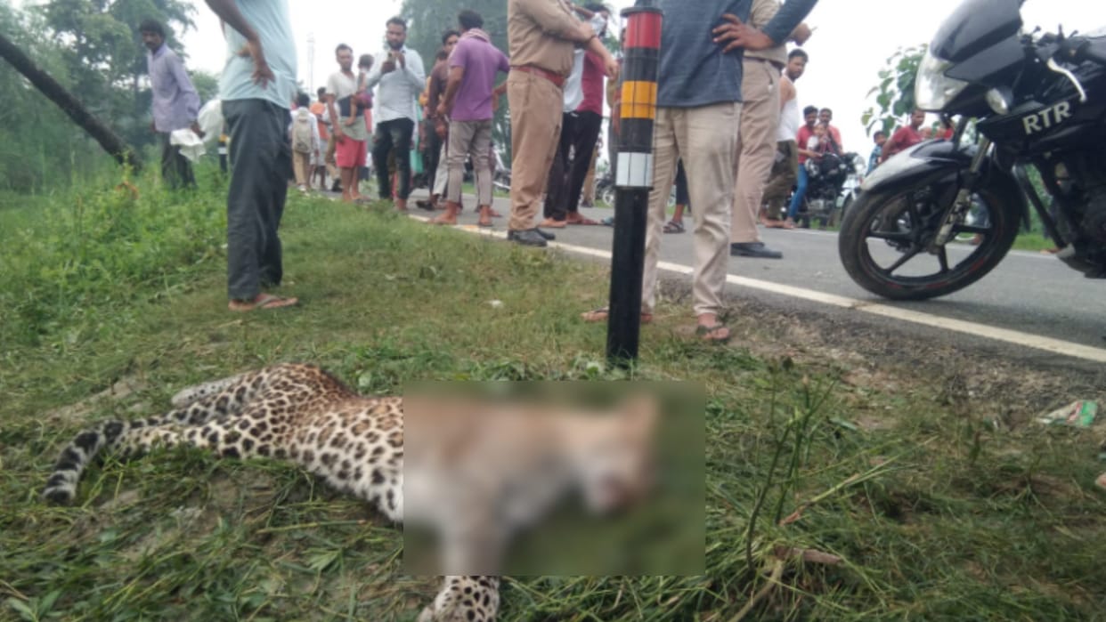 Bijnor: Forest department team started investigation after Death of a Guldar in Najibabad