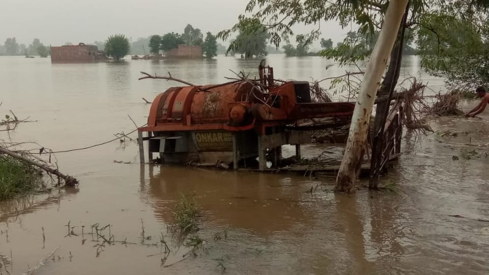 Punjab flood update news government school remain closed till august 26
