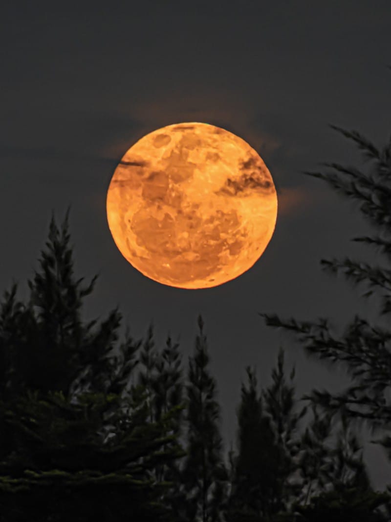 What Is Super Or Harvest Moon Why This Happen Know All Details Here