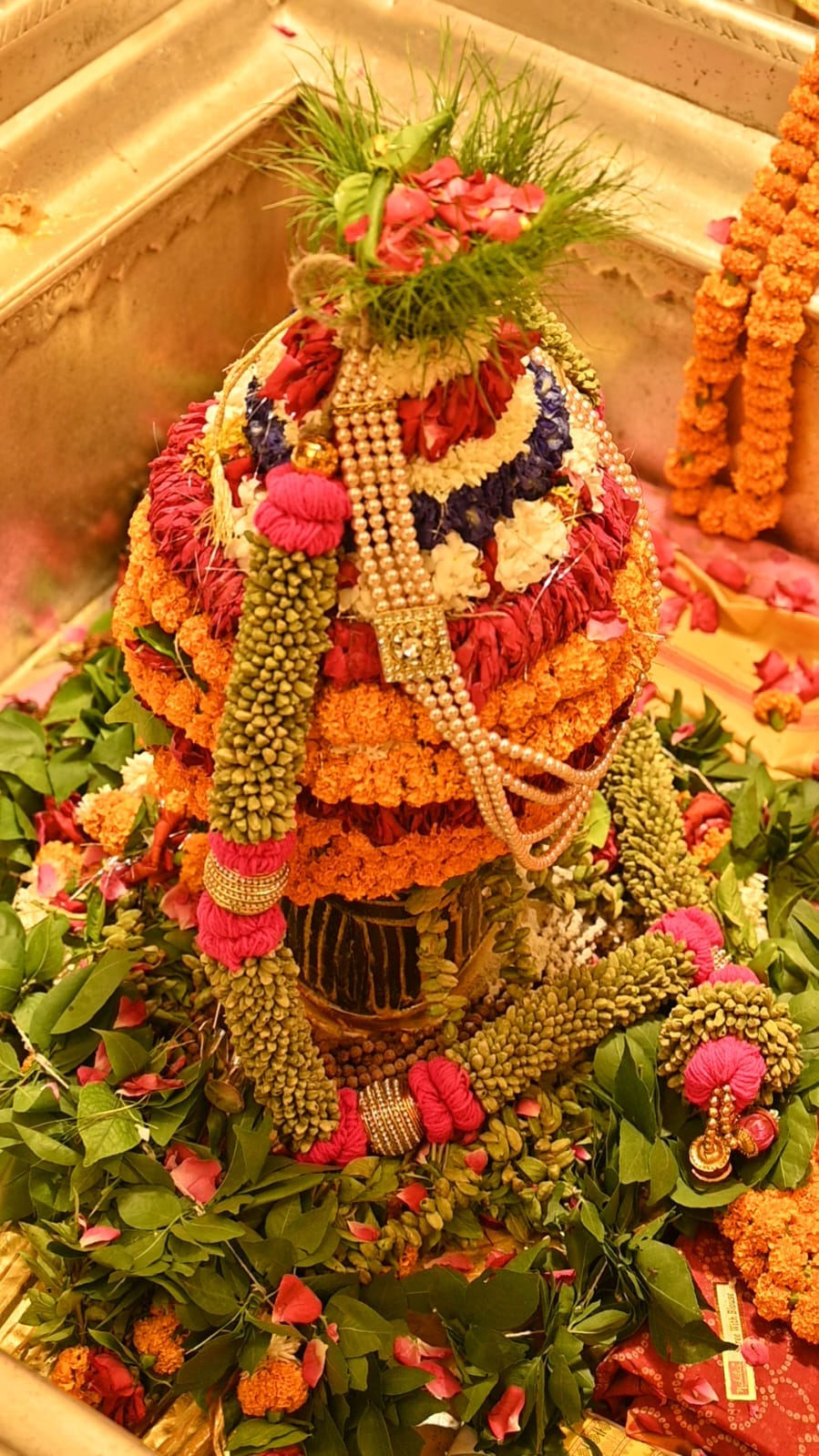 Kashi Vishwanath's Sawan Shringar: Ardhanarishwar..Bhagirathi Shringar or Amrit Varsha, Devotees became happy