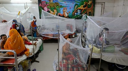 Dengue havoc in Bangladesh patients increased seven times in July compared to June 261 deaths
