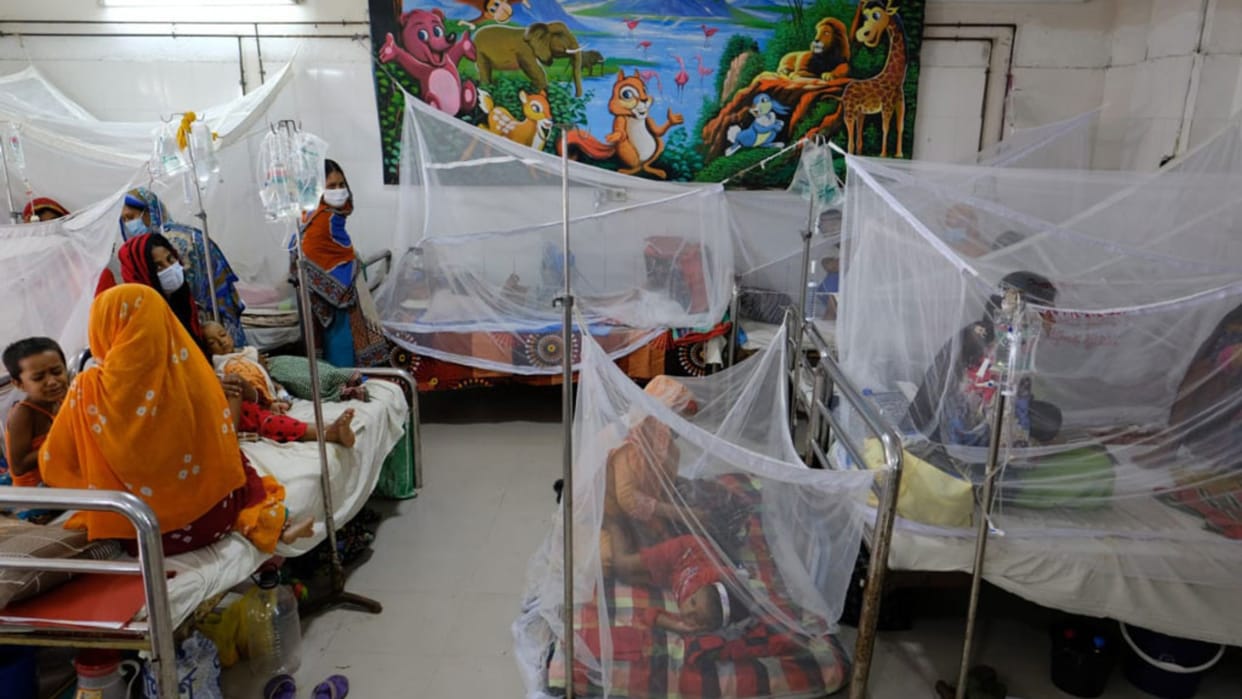 Dengue havoc in Bangladesh patients increased seven times in July compared to June 261 deaths
