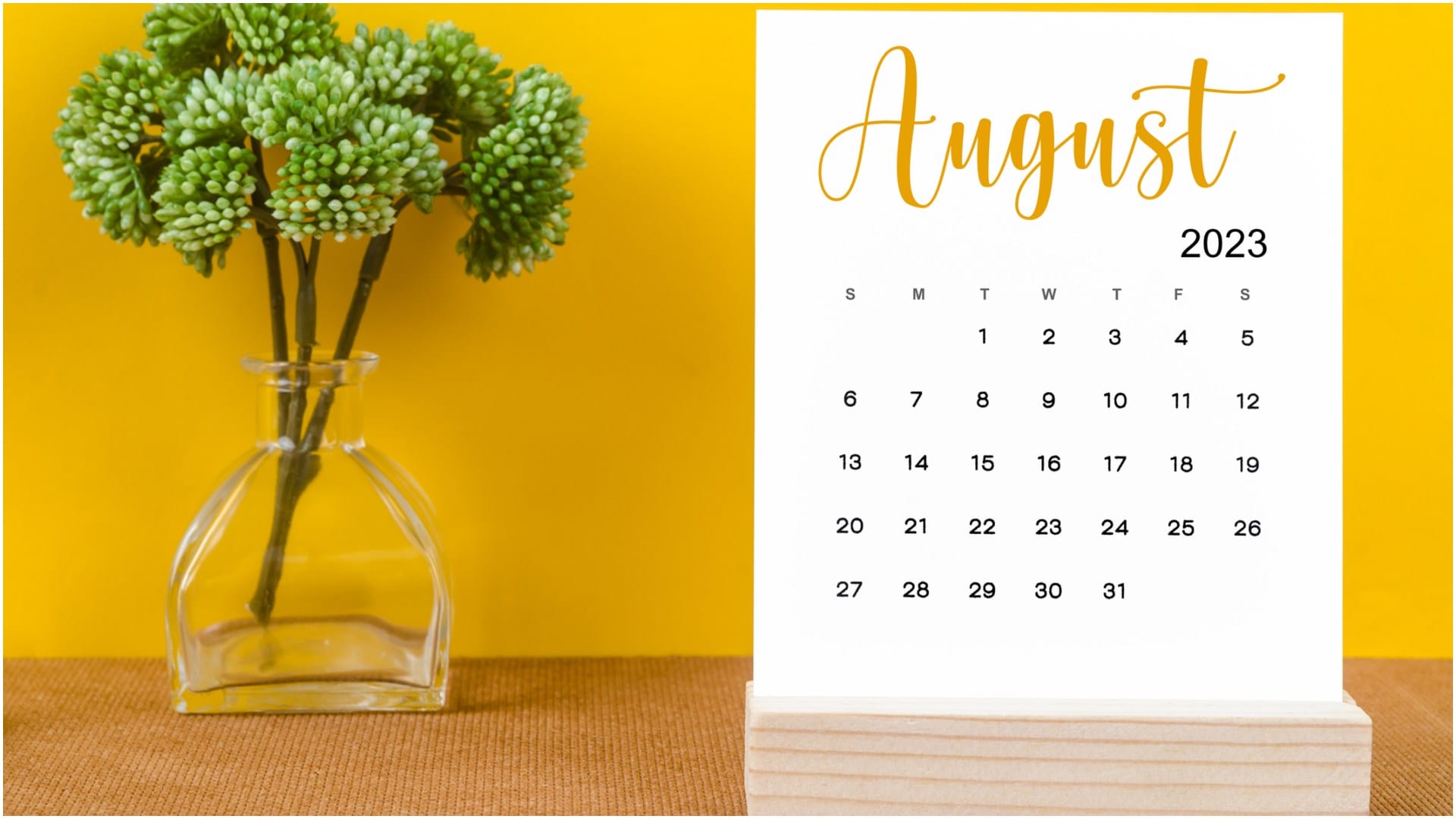Bank Holidays List In August 2023 Holiday and Long Weekend Travel Plan in Hindi