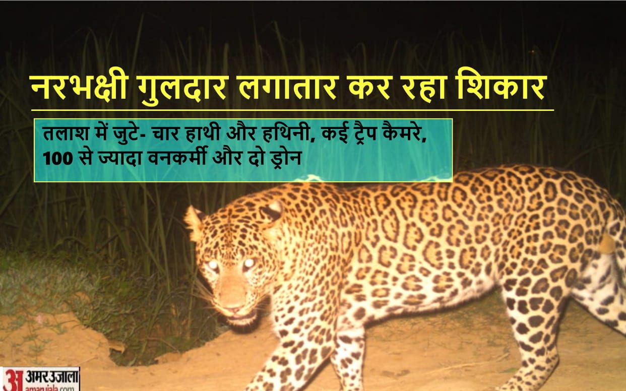 Cannibal Guldar: Expert in climbing and hiding on the tree, name is Chhaliya, kills with strong jaws and teet