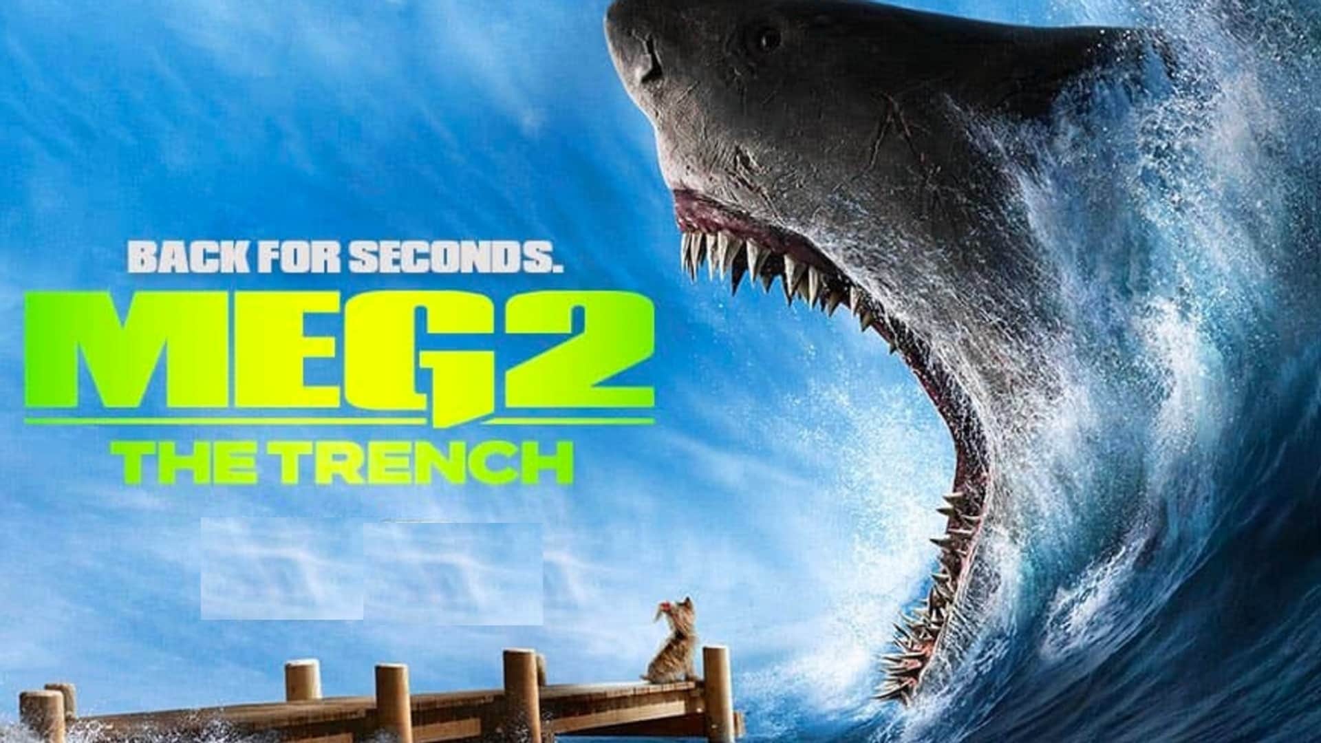 Meg 2 The trench released in India without advance booking unclarity of shows in theatres first show cancelled