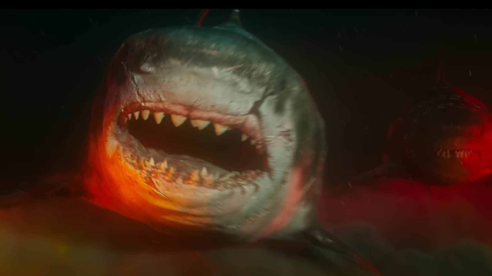Meg 2 The trench released in India without advance booking unclarity of shows in theatres first show cancelled