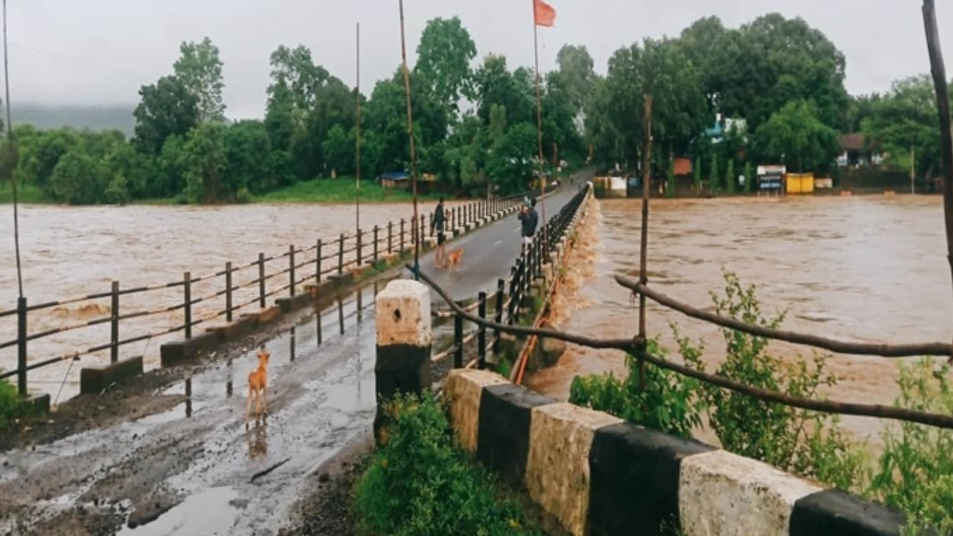 प्रदेश के कई जिलों में नर्मदा उफान पर है।