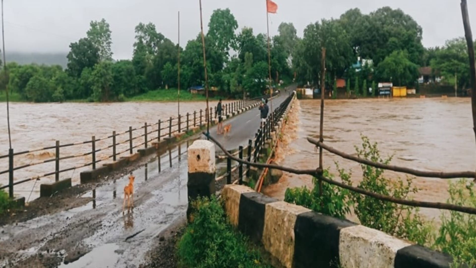 प्रदेश के कई जिलों में नर्मदा उफान पर है।